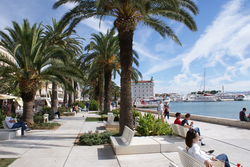 Split City Center Small Group Walking Tour