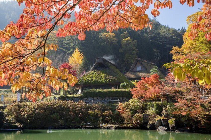 Shirakawago (UNESCO world heritage) / Onsen / Hiking Waterfall / 1day Private Tour