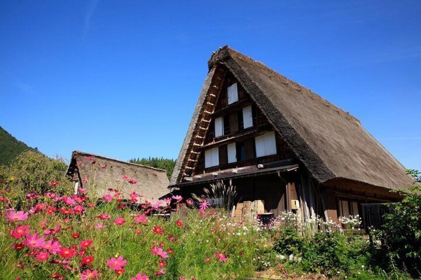 Shirakawago (UNESCO world heritage) / Onsen / Hiking Waterfall / 1day Private Tour