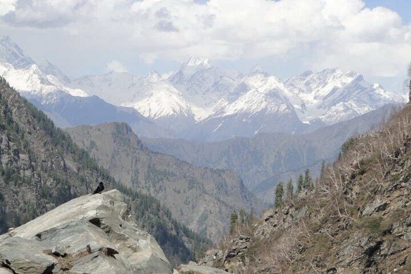 Guided Day Hike to Guna Devi Temple from Mcleodganj