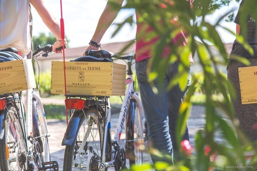 Bike rental by the day