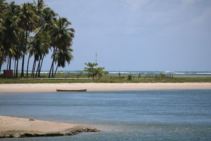 Aries Beach Private Tour - Group 1 to 6 PAX - Leaving Maragogi