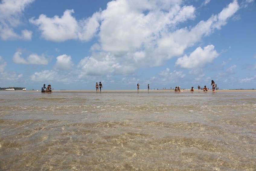 Aries Beach Private Tour - Group 1 to 6 PAX - Leaving Maragogi