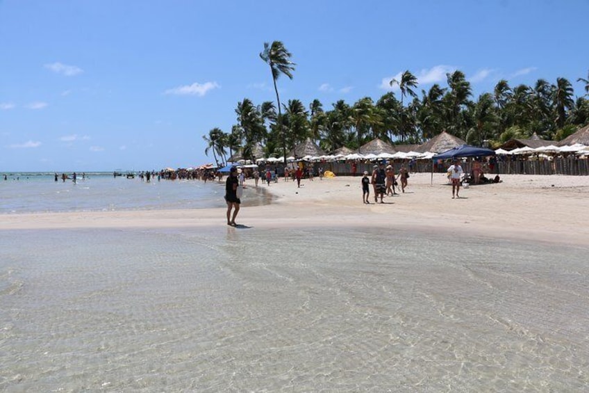 Aries Beach Private Tour - Group 1 to 6 PAX - Leaving Maragogi