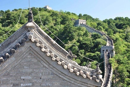 2-Day Private Tour from Chengdu by Air and Train:Highlights of Xi'an and Be...