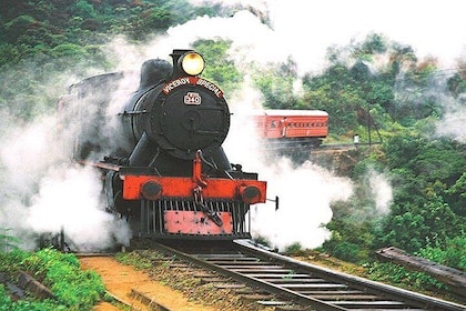 Ella to Kandy Train Tickets - (Reserved Seats)