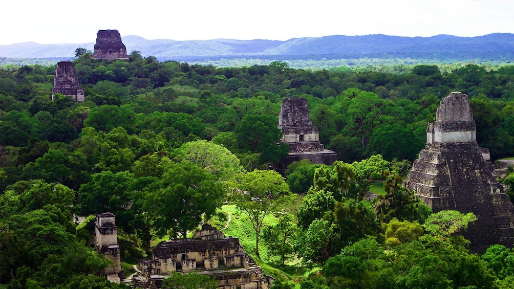Aerial view of ruins of Tikal 