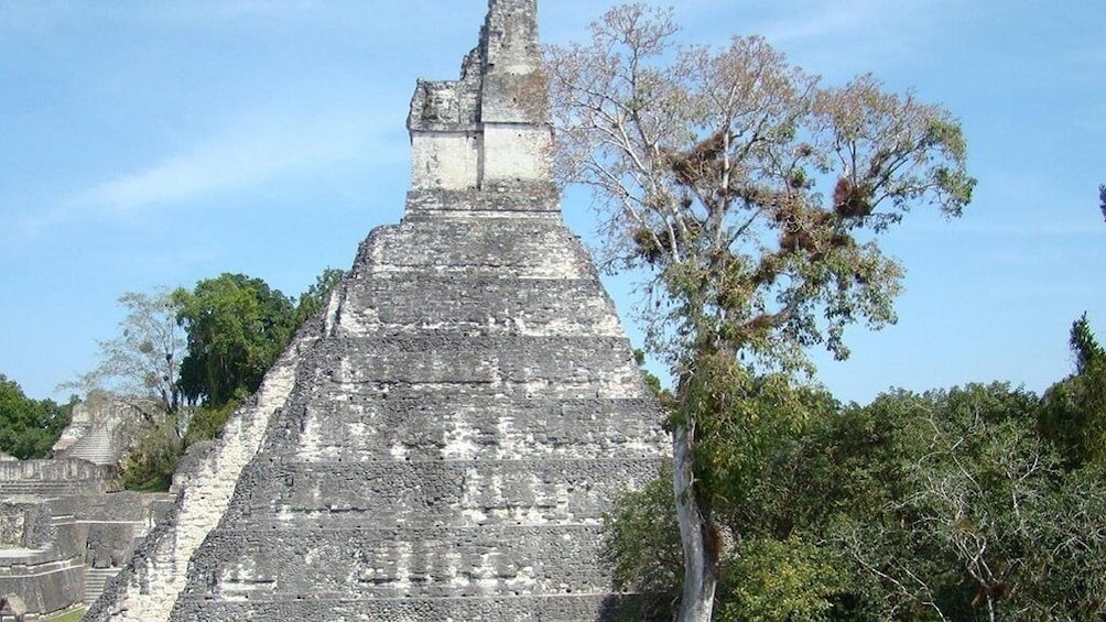 Tikal Day Tour with Lunch