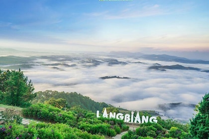 Langbiang Peak - Datanla falls - Crazy House - Coffee farm