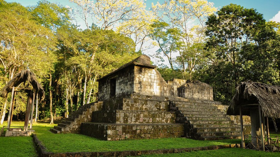 Ruins of a temple surrounded by trees in Ceibal