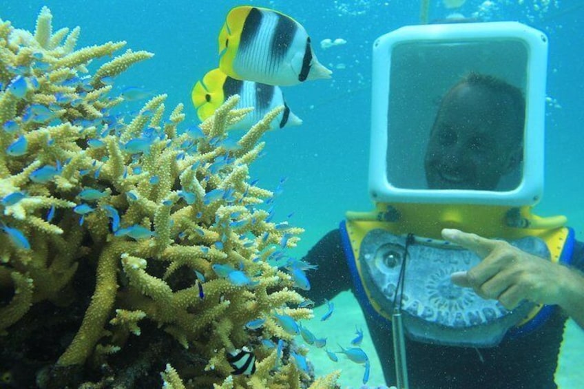 Private Tour: Aqua Safari Scuba Diving