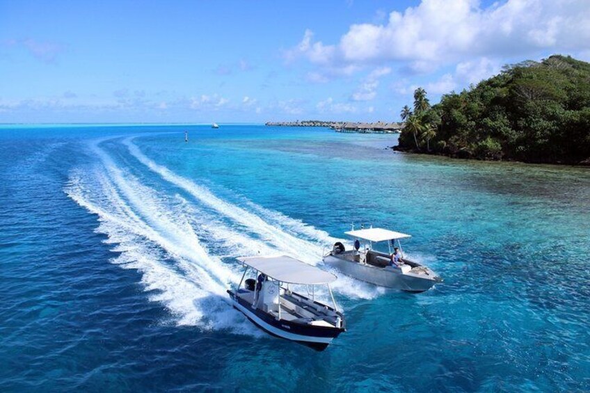 Private Tour: Aqua Safari Scuba Diving