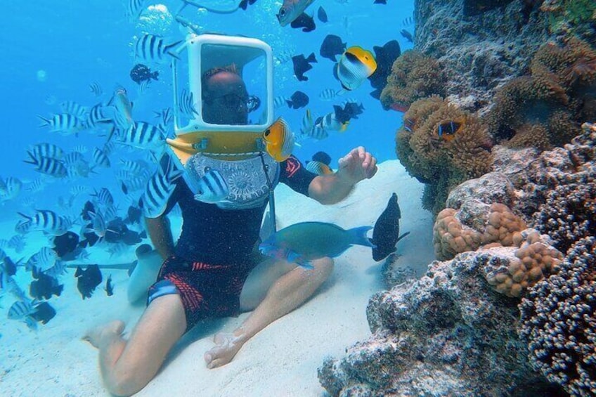 Private Tour: Aqua Safari Scuba Diving