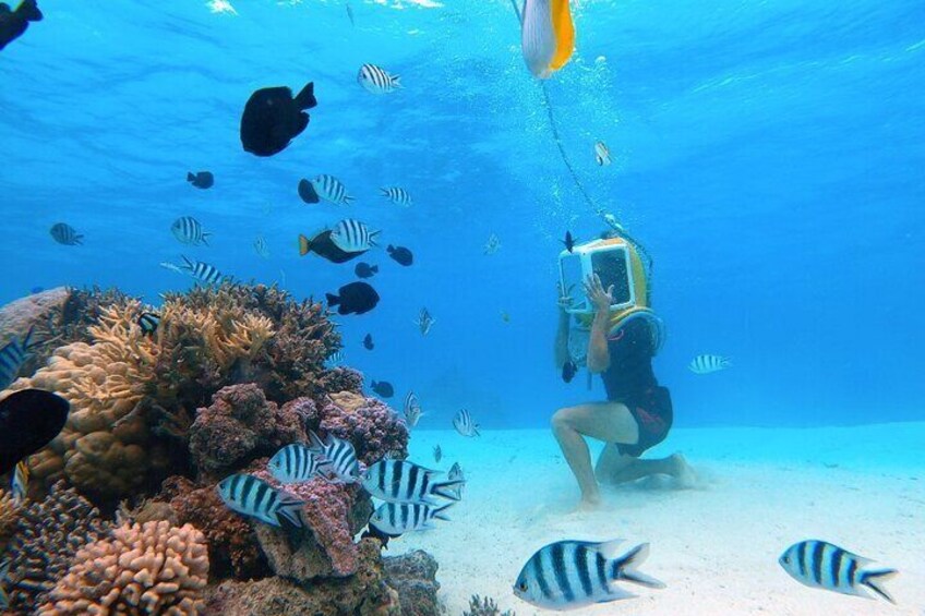 Private Tour: Aqua Safari Scuba Diving