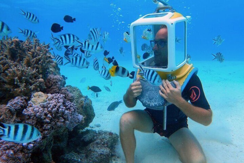 Private Tour: Aqua Safari Scuba Diving