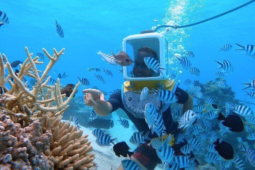 Private Tour: Aqua Safari Scuba Diving