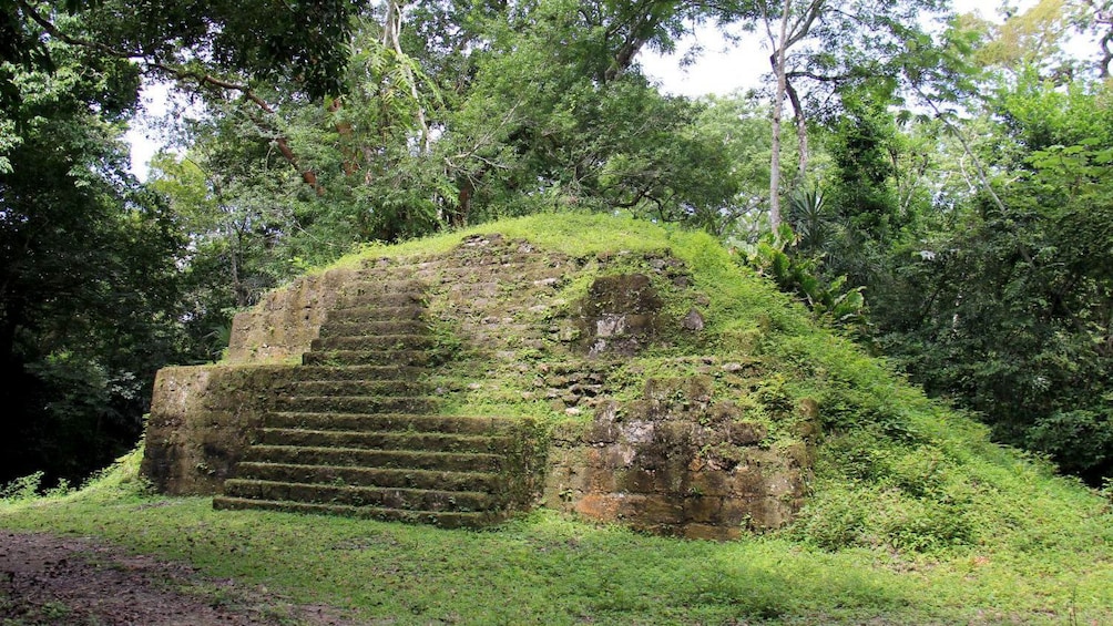 Overgrown ruins in Uaxactun