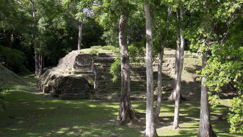 Ruins of a pyramid surrounded by trees in Uaxactun