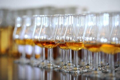 Degustación del legendario whisky Glenmorangie y más