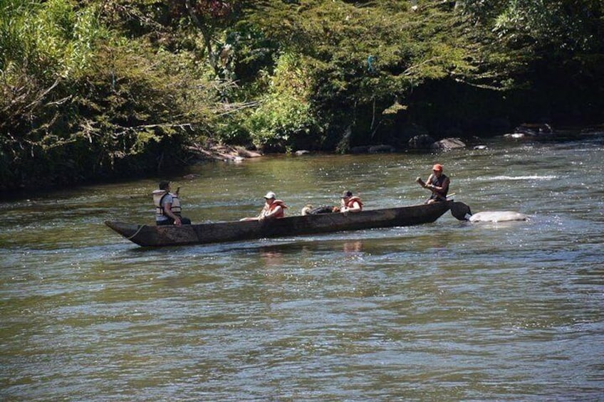 One day tour in the jungle. all inclusive.