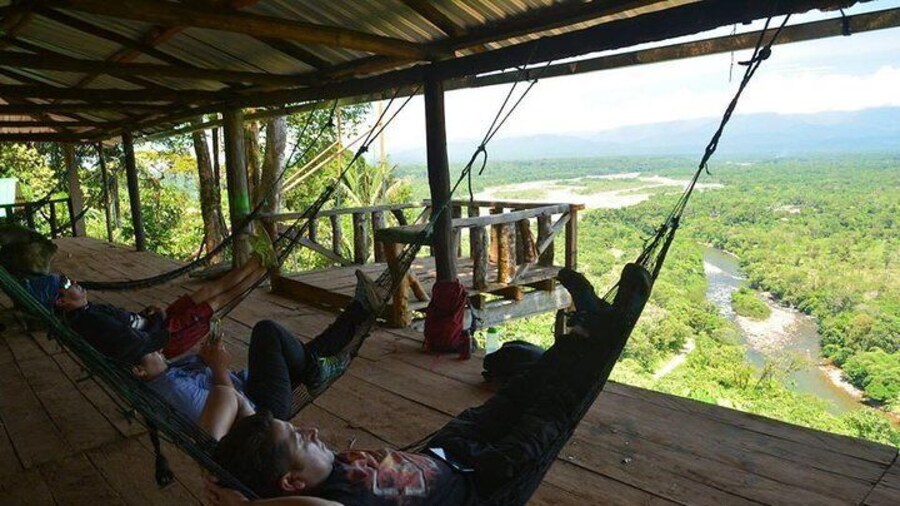 One day tour in the jungle. all inclusive.