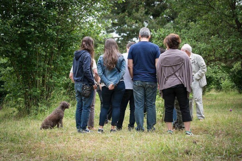 Discovery of the world of Truffles and tasting