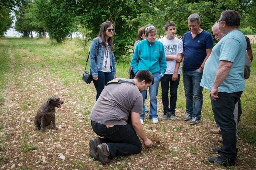 Discovery of the world of Truffles and tasting