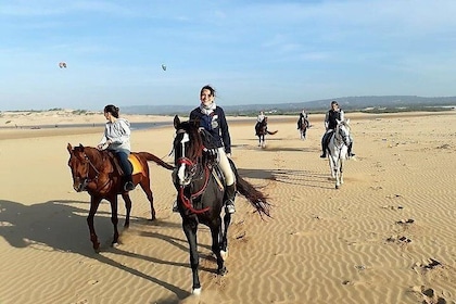 Horse riding on the beach of Essaouira 2 hours