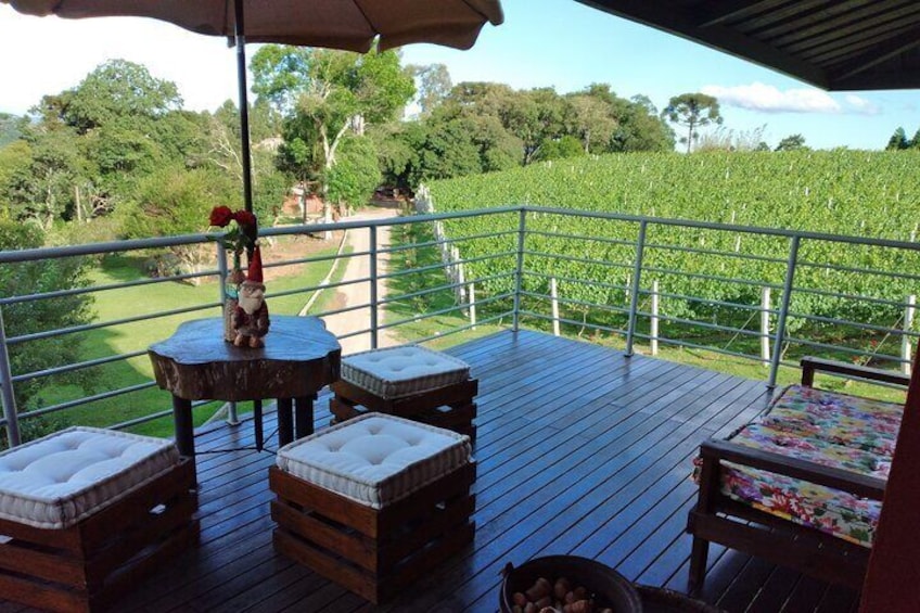 Guided Tour with Wine Tasting at Casa Seganfredo - Gramado