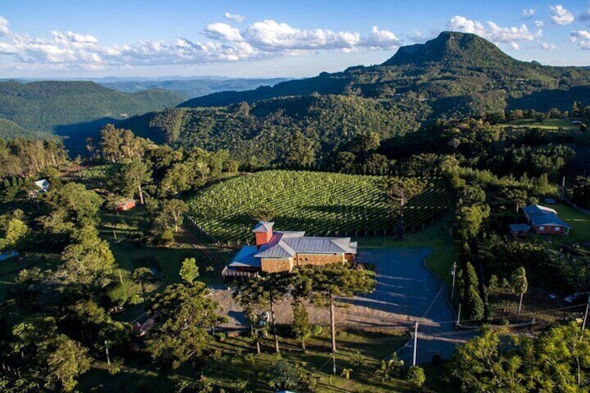 Guided Tour with Wine Tasting at Casa Seganfredo - Gramado