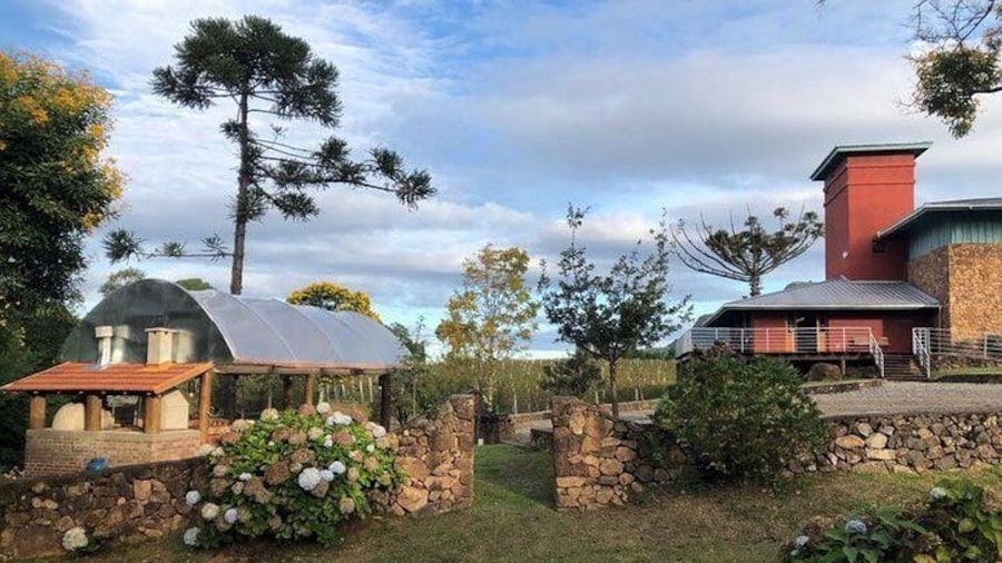 Guided Tour with Wine Tasting at Casa Seganfredo - Gramado