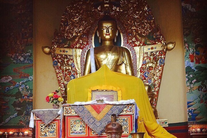 Guided, India's Own Mini Tibet - Culture Tour