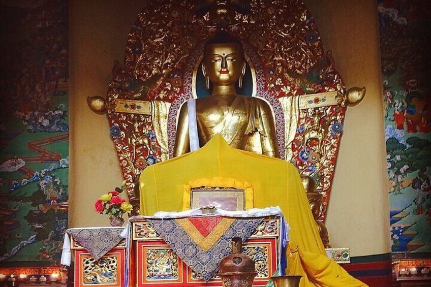 Guided, India's Own Mini Tibet - Culture Tour