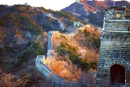  Beijing in One Day from Chongqing by Air: Great Wall, Forbidden City and M...