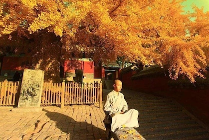 2-Day Private Tour from Qingdao with Hotel: Shaolin Temple and Longmen Grot...