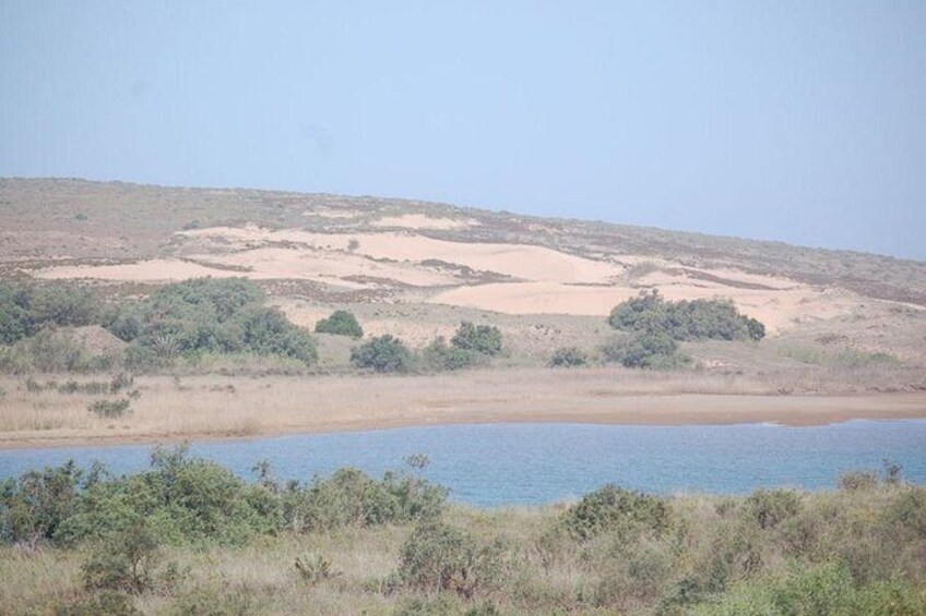 Petiti desert "MASSA" Agadir in 4X4