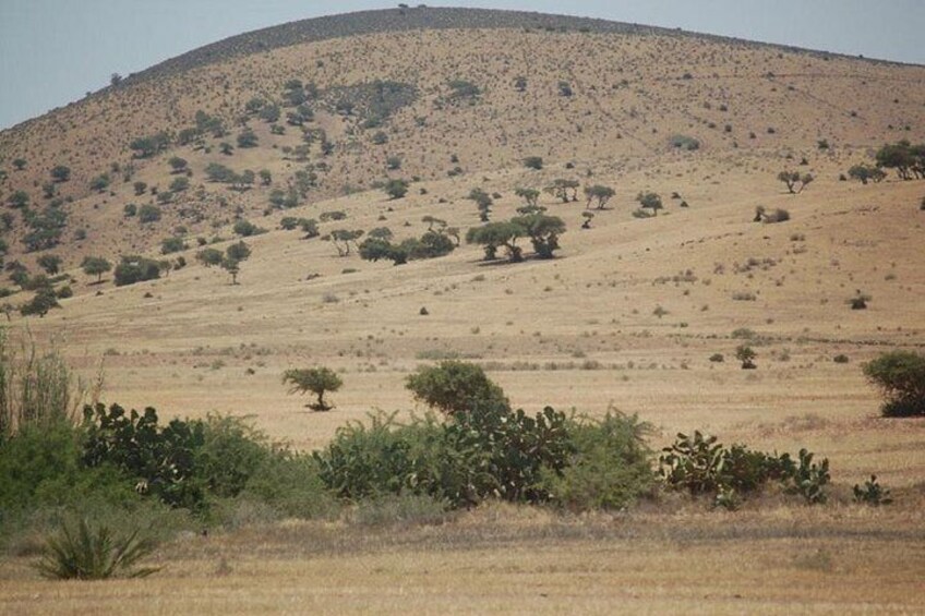 Petiti desert "MASSA" Agadir in 4X4