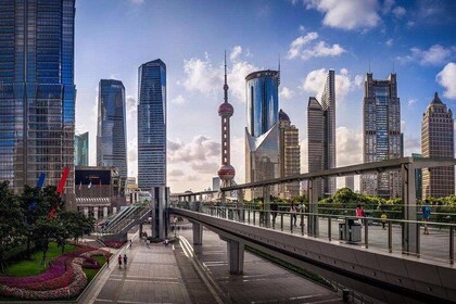 Tour privado personalizado: aspectos destacados de la ciudad de Shanghai en...