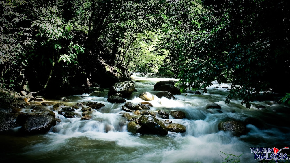 Show item 5 of 5. Lush trees and forest line the bank of a river at Templer's Park in Malaysia