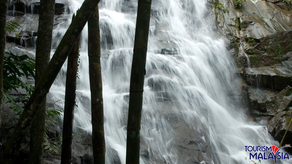 Show item 2 of 5. Cascading waterfall at Templer's Park in Malaysia