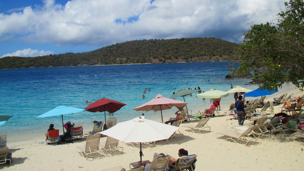 Beach umbrellas on Coki Point Beach in the Virgin Islands. 