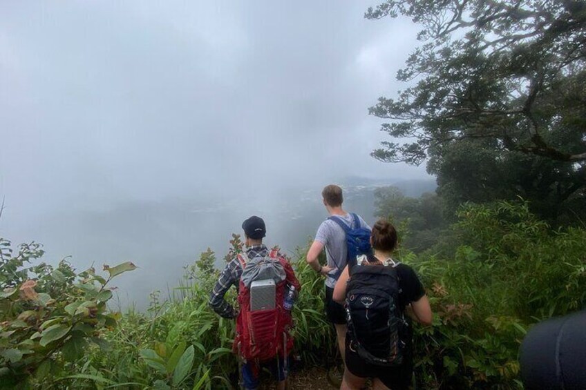 in fog day