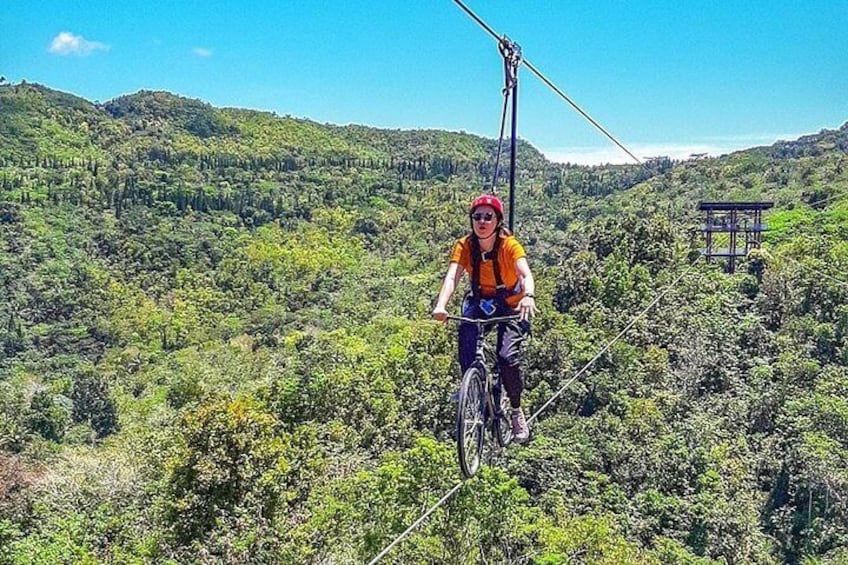 Bike zip