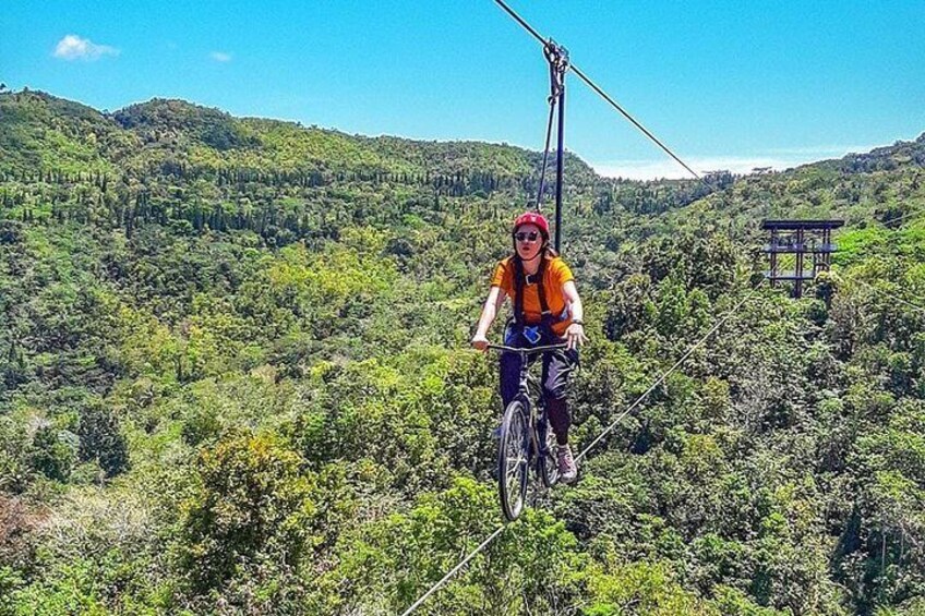 Bike zip