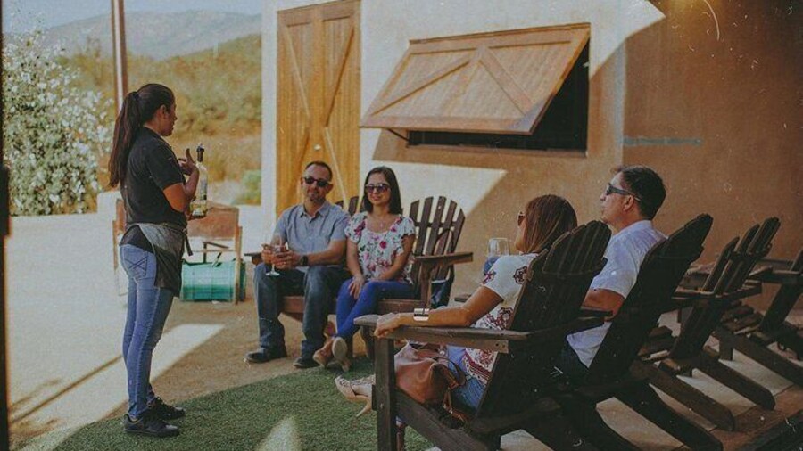 Xecue Wine Tasting in the Guadalupe Valley