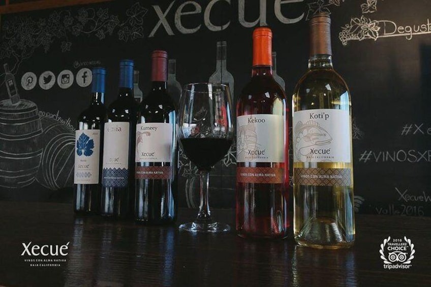 Wine Tasting and Wine Tour in Valle de Guadalupe