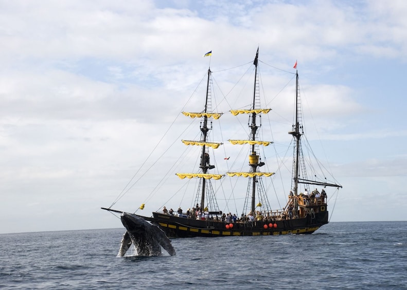 Thar She Blows! Whale-Watching Tour with Breakfast