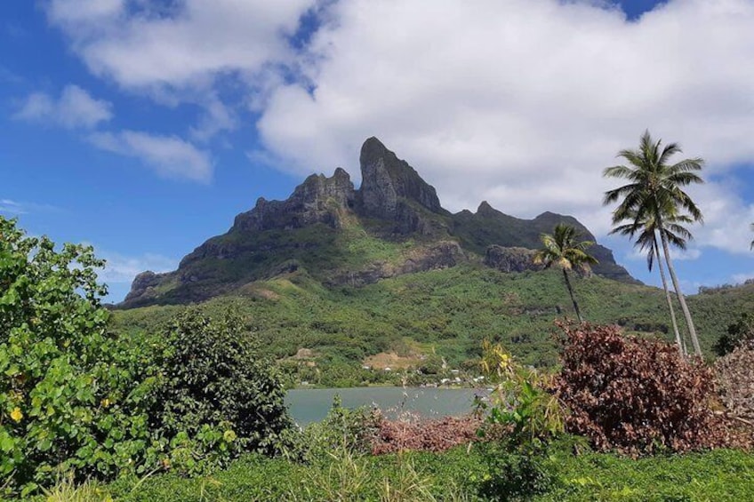 Second stop of Bora bora quad adventures