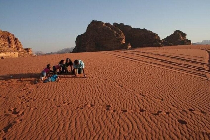 Aqaba Shore Excursions - Wadi Rum Day Tour