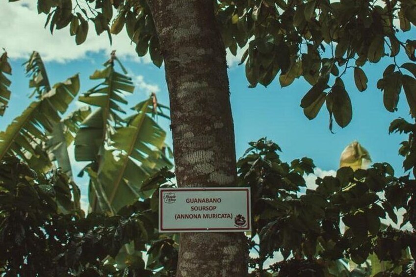 Biodiversity